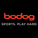 ewallet casino at bodog casino